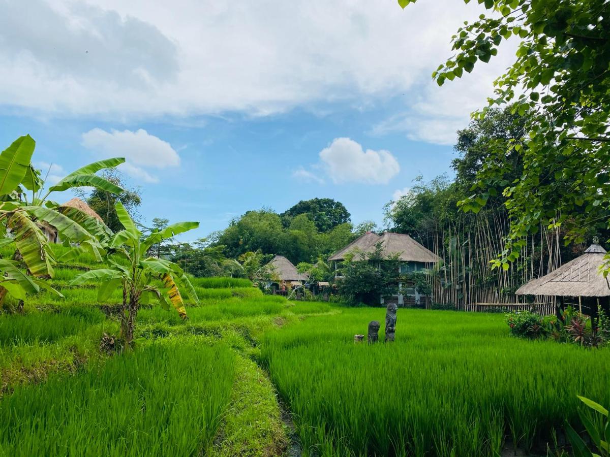 Kts Balinese Villas Canggu Dış mekan fotoğraf