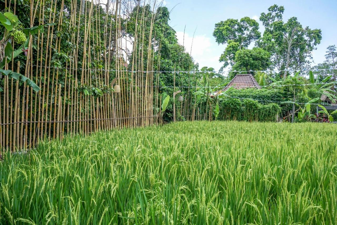 Kts Balinese Villas Canggu Dış mekan fotoğraf